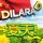 Dilara D - 夏天!