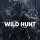 Постер песни Jackie-O, B-Lion - Wild Hunt