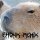 Постер песни Сто-Личный Она-Нас, DXXDLY - Capybara (Phonk Remix)