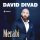 Постер песни David Divad - Merabi