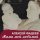Постер песни Алексей Фадеев - Мама моя любимая