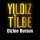 Постер песни Yıldız Tilbe - Dizine Dursun