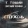 Постер песни Т. Тощий, Евгения VodaNa - Стержень