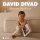 David Divad - Доченька любимая