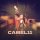 Постер песни CAMEL11 - GO CLUB