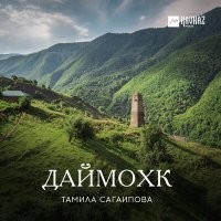 Постер песни Тамила Сагаипова - Герой из Беноя