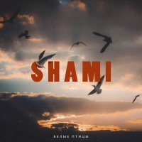 Постер песни SHAMI - Мы не ожидали сколько мили миллионов бедных лиц