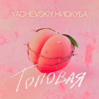 Постер песни Yachevskiy, НИСКУБА - Топовая