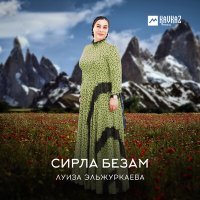 Постер песни Луиза Эльжуркаева - Со езнарш