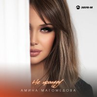 Постер песни Амина Магомедова - Не пропаду