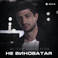 Постер песни Ислам Пшидаток - Не виноватая