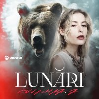 Постер песни LUNARI - Сильная я