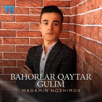 Постер песни Madamin Hoshimov - Bahorlar qaytar gulim