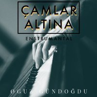 Постер песни Oğuz Gündoğdu - Çamlar Altına (Enstrumantal)