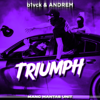 Постер песни b1vck & AndreM - Triumph