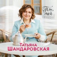 Постер песни Татьяна Шандаровская - Струи дождя