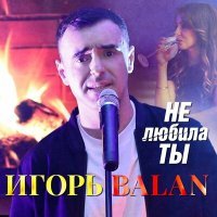 Постер песни Игорь Balan - Не любила ты