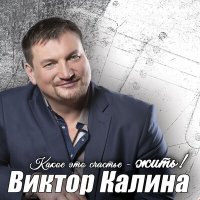 Постер песни Виктор Калина - Тобою простужен