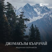 Постер песни Абдуллах Борлаков - Кавказ