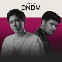 Постер песни DNDM - Für Elise