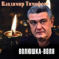 Постер песни Владимир Тимофеев - Волюшка-воля