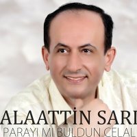 Постер песни Alaattin Sarı - Parayı Mı Buldun Celal