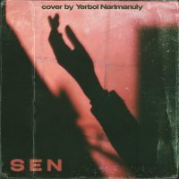 Постер песни Yerbol Narimanuly - Sen