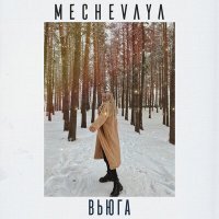 Постер песни MECHEVAYA - Вьюга