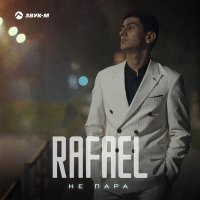 Постер песни Rafael - Не пара