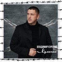 Постер песни Владимир Курский - Хулиган