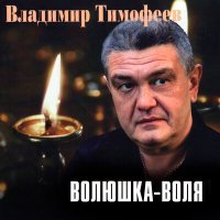 Постер песни Владимир Тимофеев - Сибирские лагеря