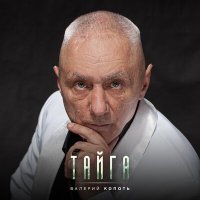 Постер песни Валерий Копоть - Белая полосочка