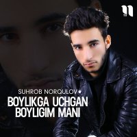 Постер песни Suhrob Norqulov - Boylikga uchgan boyligim mani