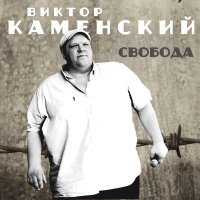 Постер песни Виктор Каменский - Свобода моя золотая