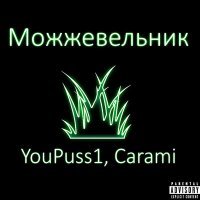 Постер песни YouPuss1, Carami - Можжевельник