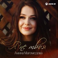 Постер песни Амина Магомедова - Я не твоя