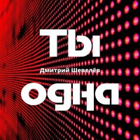 Постер песни Дмитрий Шевелёв - Ты одна (Disco)