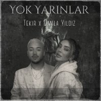 Постер песни Tekir & Damla Yıldız - Yok Yarınlar