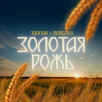 Постер песни Тайпан, MorozKA - Золотая рожь