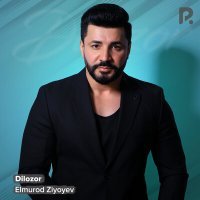Постер песни Элмурад Зияев - Sen bunchalar go'zalsan
