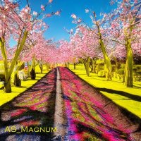 Постер песни AS_Magnum - Весна цветёт