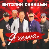 Постер песни Виталий Синицын - Стареем мы на год