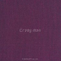 Постер песни KROKOT, a.Ja - Crazy man
