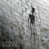 Постер песни Plennaya Volya - Бродячий король