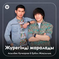 Постер песни Асылбек Кучкаров, Ербол Жақсылық - Жүрегімді жаралады