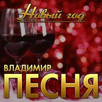 Постер песни Владимир Песня - Новый год
