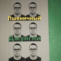 Постер песни DJ Пшеничный - Джунгли