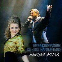 Постер песни Юрий Спиридонов, Татьяна Шереметьева - Белая роза