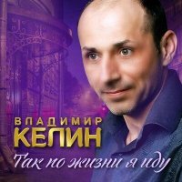 Постер песни Владимир Келин - Отгуляю, отпою