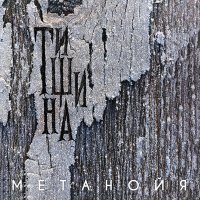 Постер песни Метанойя - Вода становится льдом